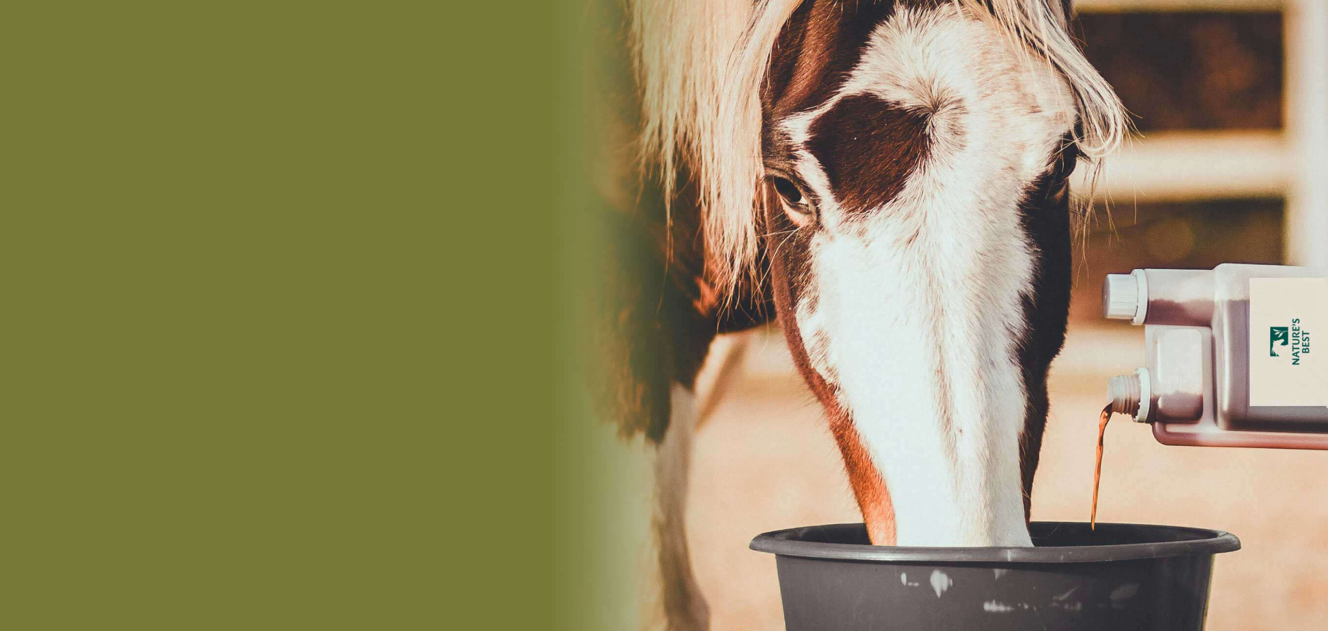 NABE spaefte Banner 2886x1290