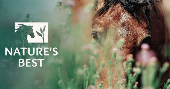 banner natures best pferdefutter 720x380