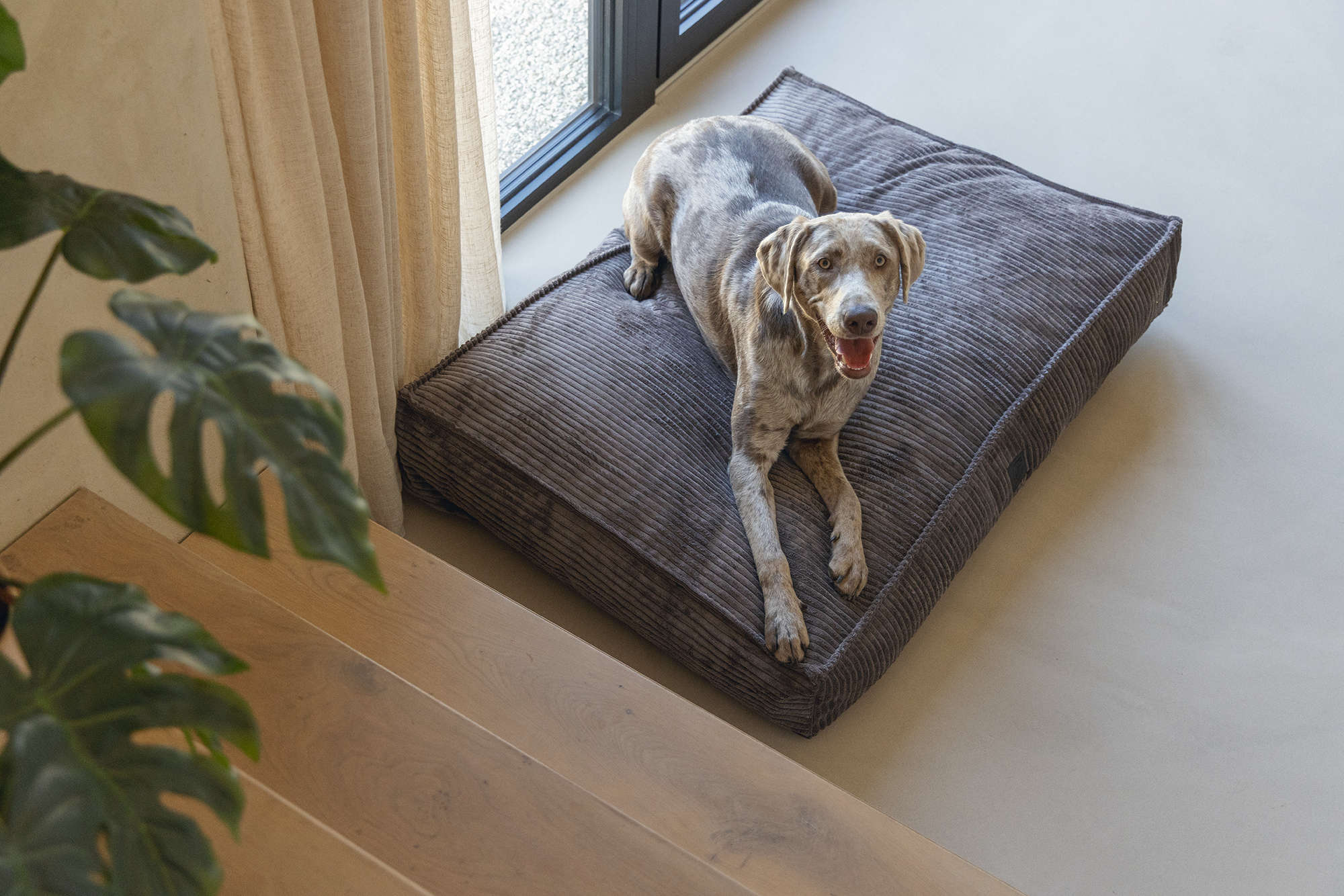 Designed by Lotte Hunde-Liegekissen Rippstoff