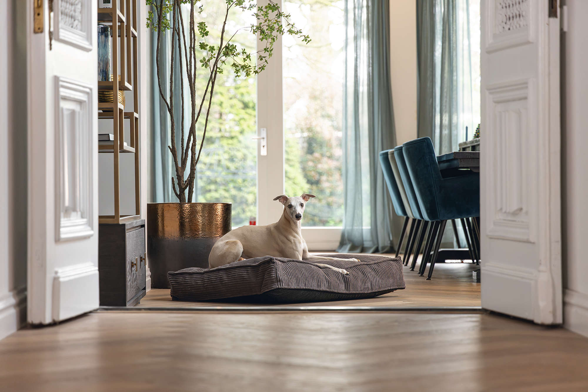 Designed by Lotte Hunde-Liegekissen Rippstoff