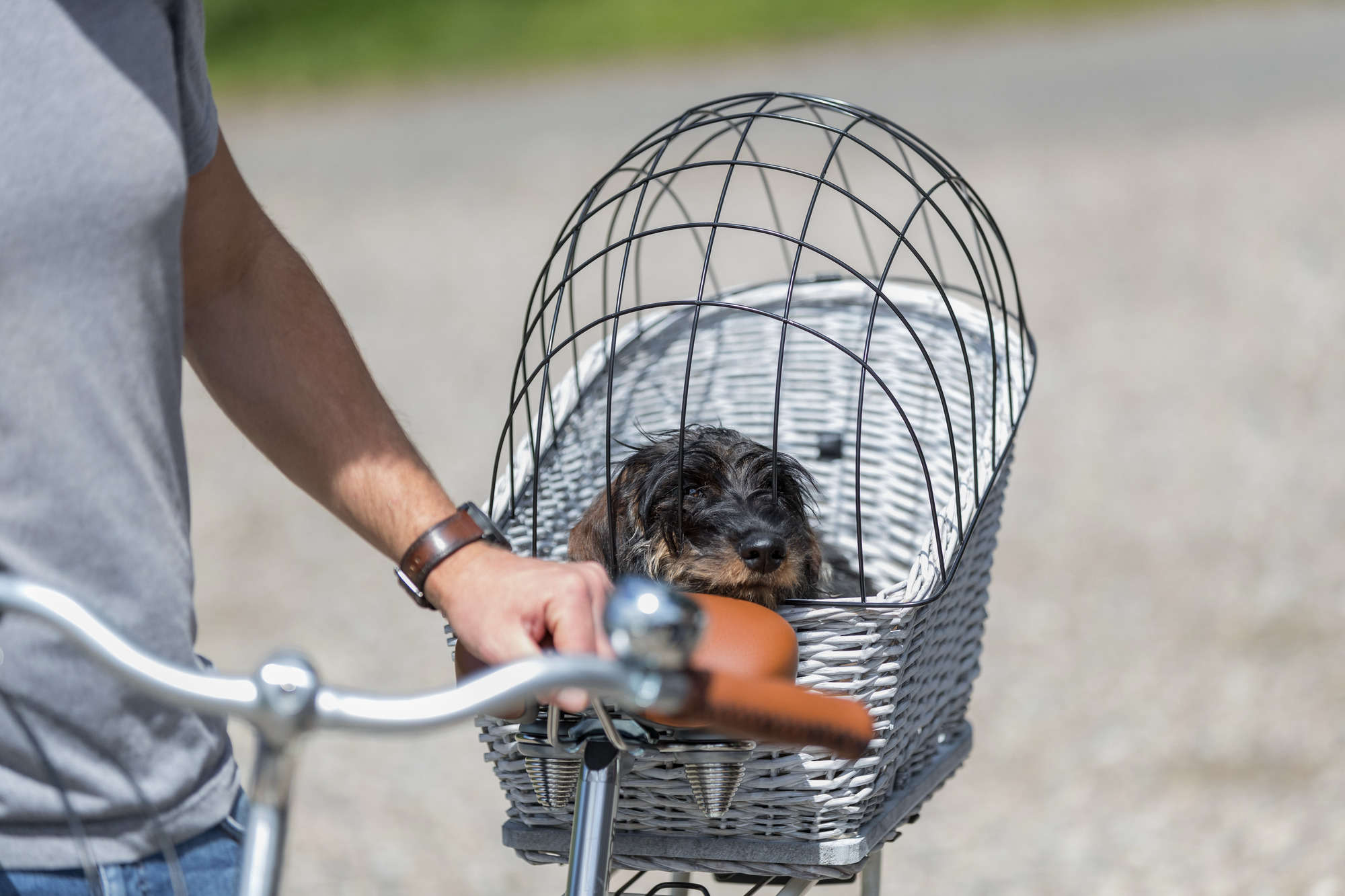 TRIXIE Hunde-Fahrradkorb für Gepäckträger