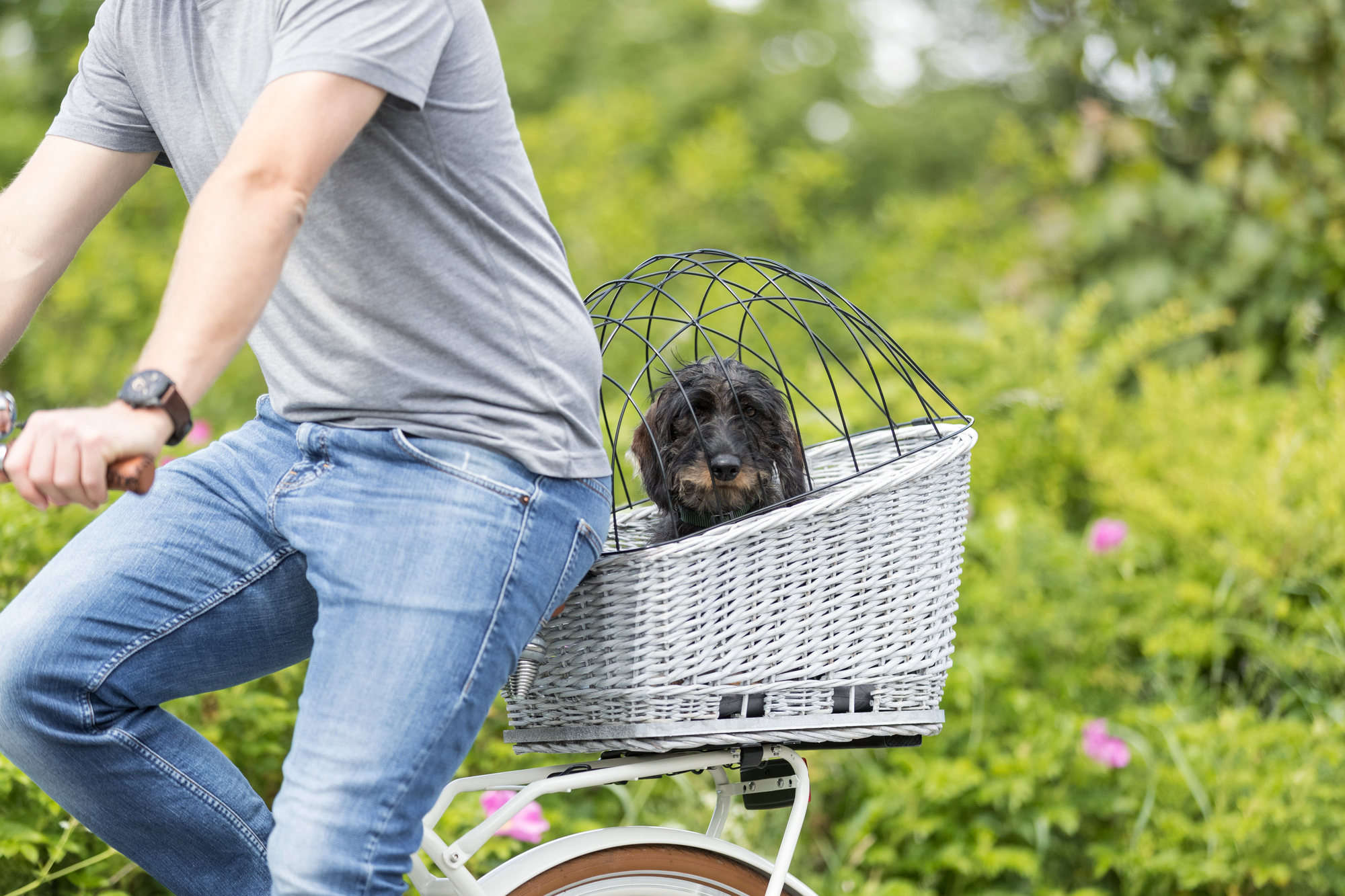 TRIXIE Hunde-Fahrradkorb für Gepäckträger