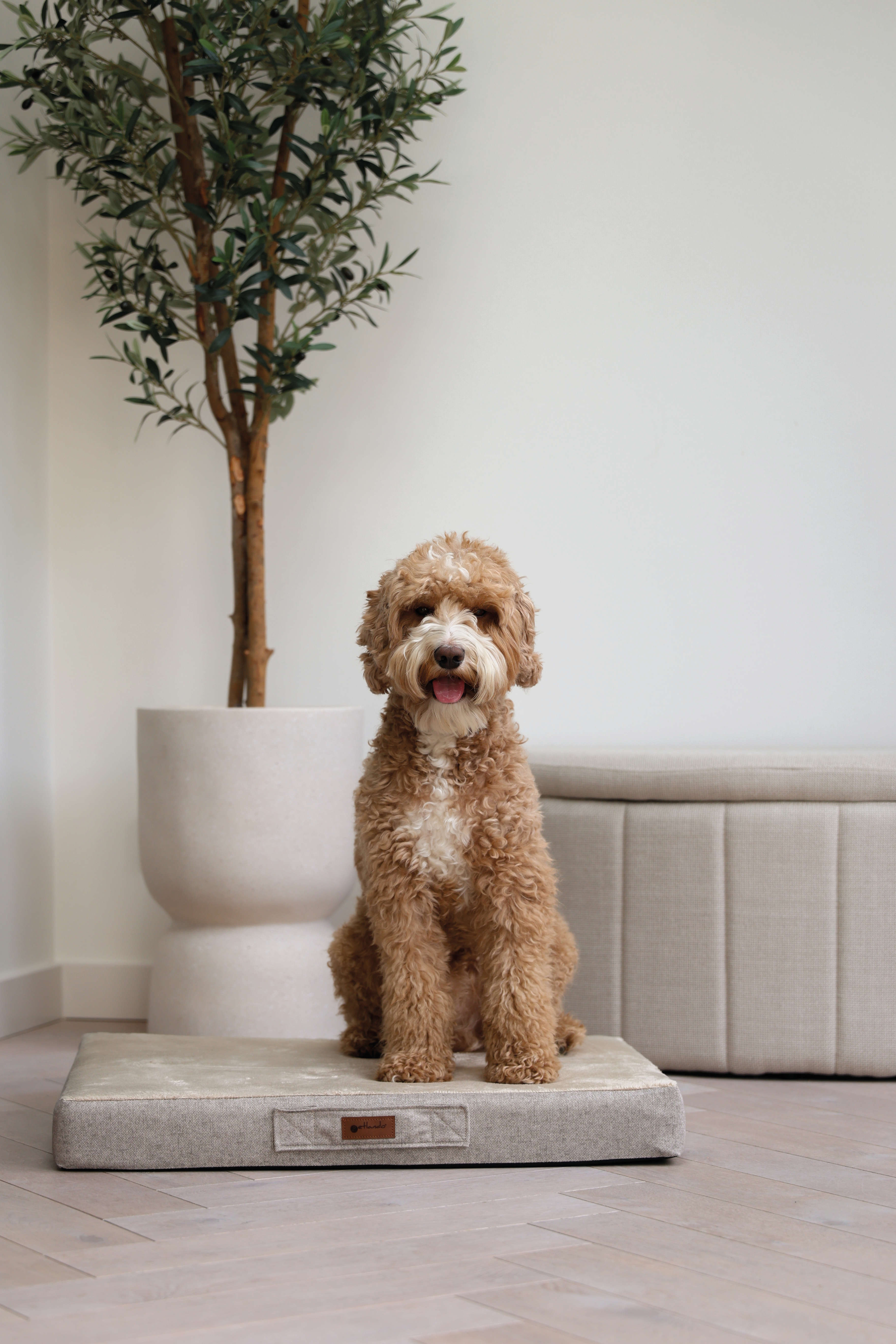 petlando Orthopädisches Hunde-Kissen "Merano"