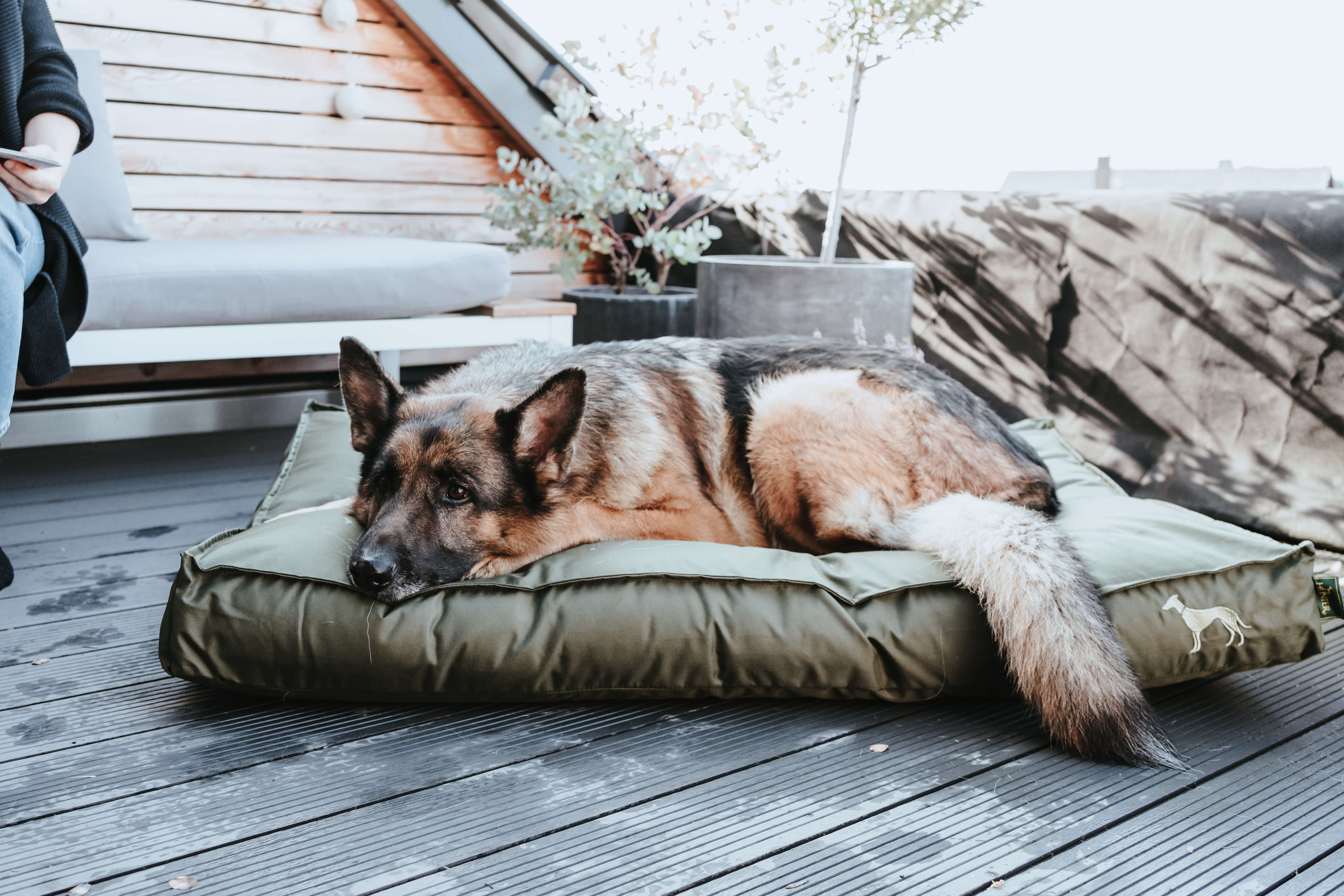 HUNTER Hunde-Liegekissen Ribe