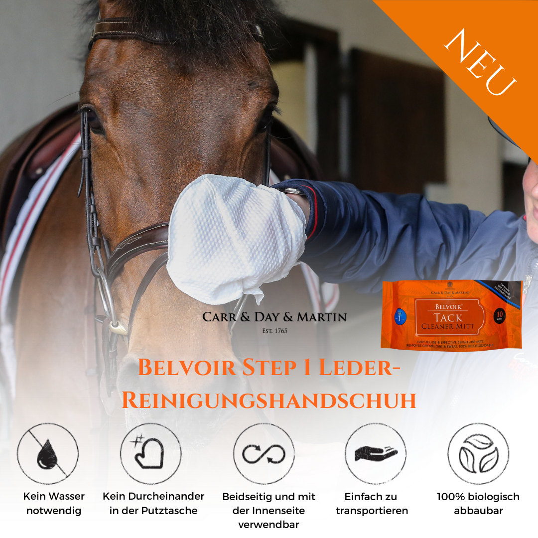 CARR & DAY & MARTIN Belvoir Lederreinigungshandschuhe