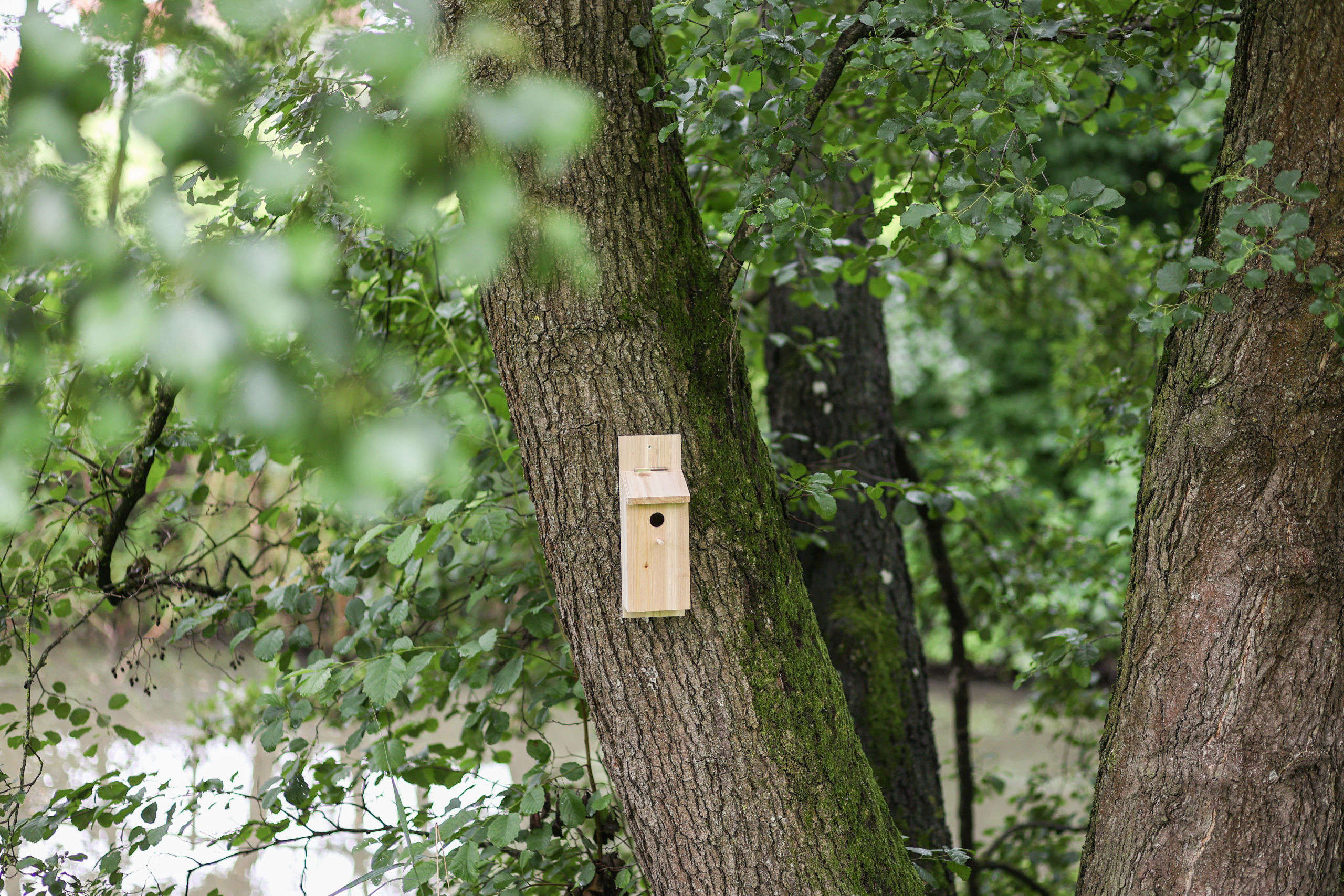 KERBL Nistkasten Selbstbauset