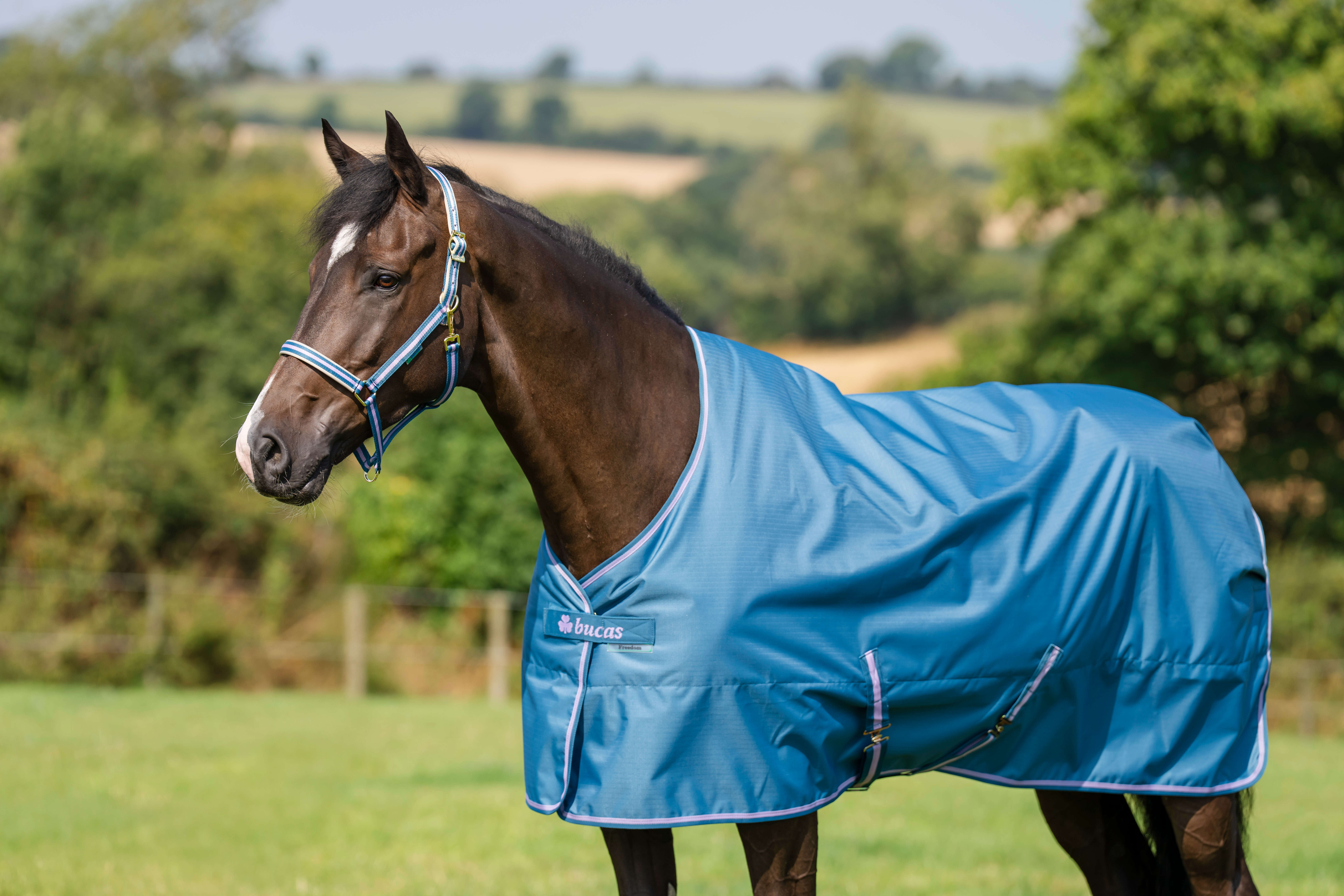 bucas Outdoordecke Freedom Turnout 50 g Blueberry