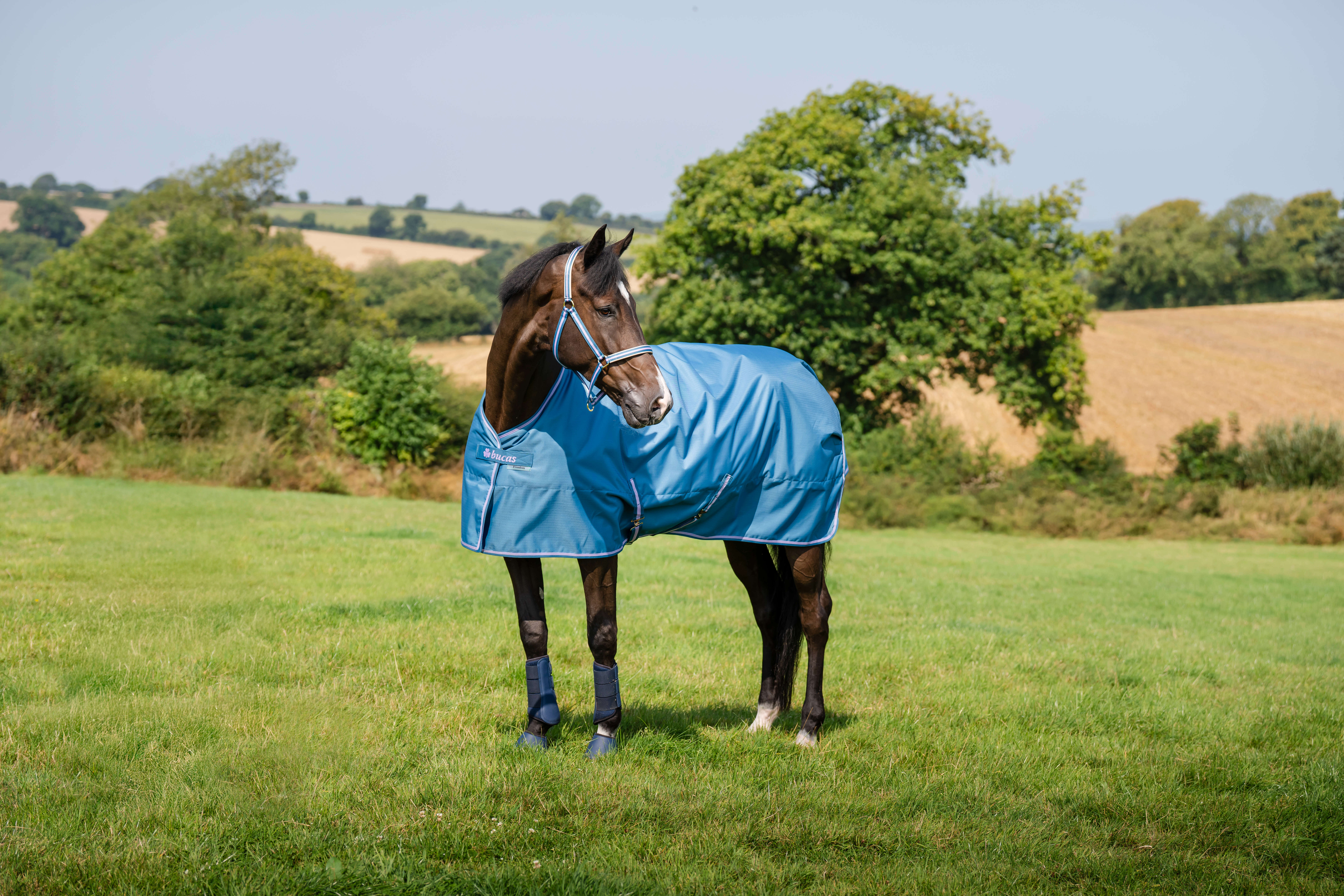 bucas Outdoordecke Freedom Turnout 50 g Blueberry