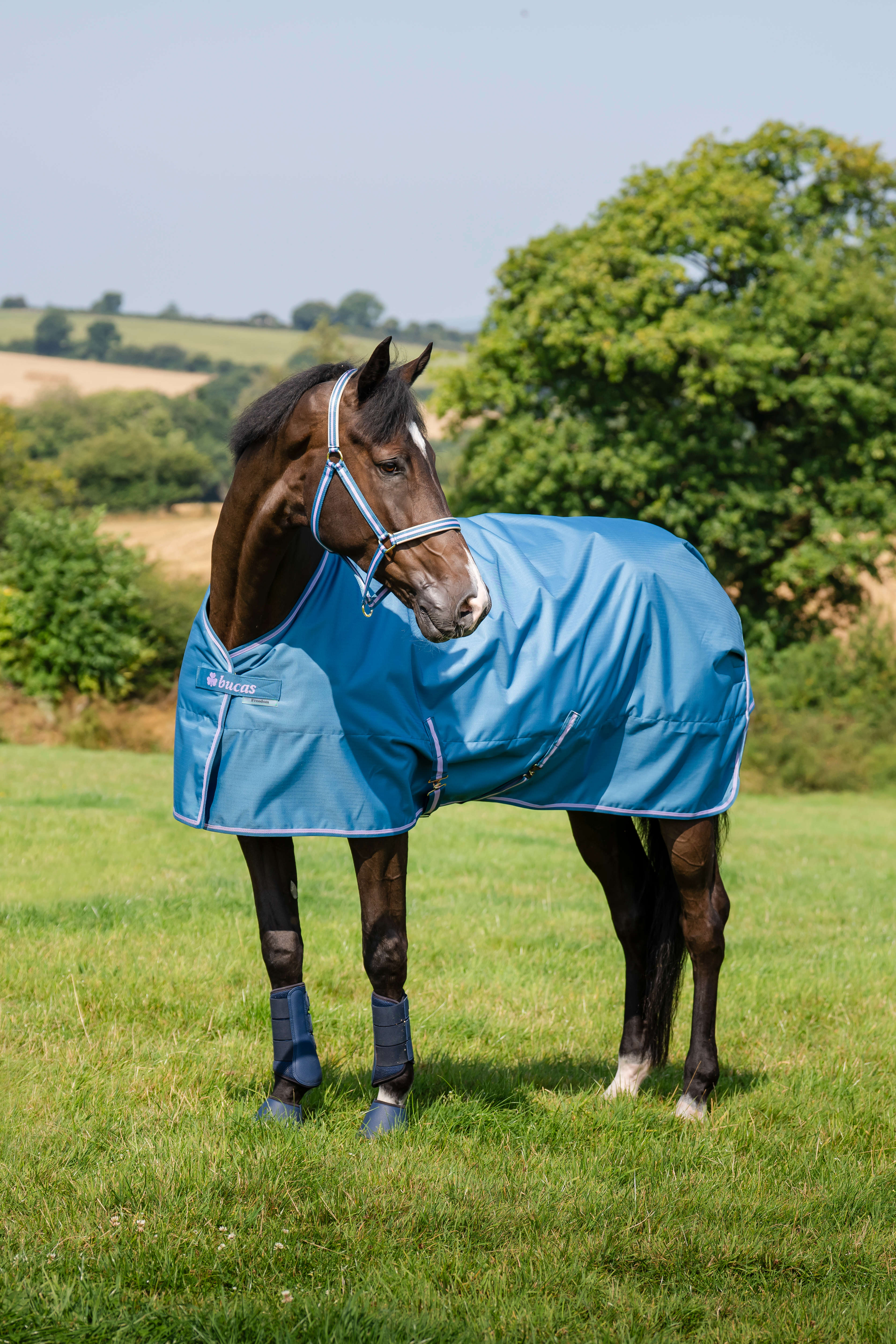 bucas Outdoordecke Freedom Turnout 50 g Blueberry