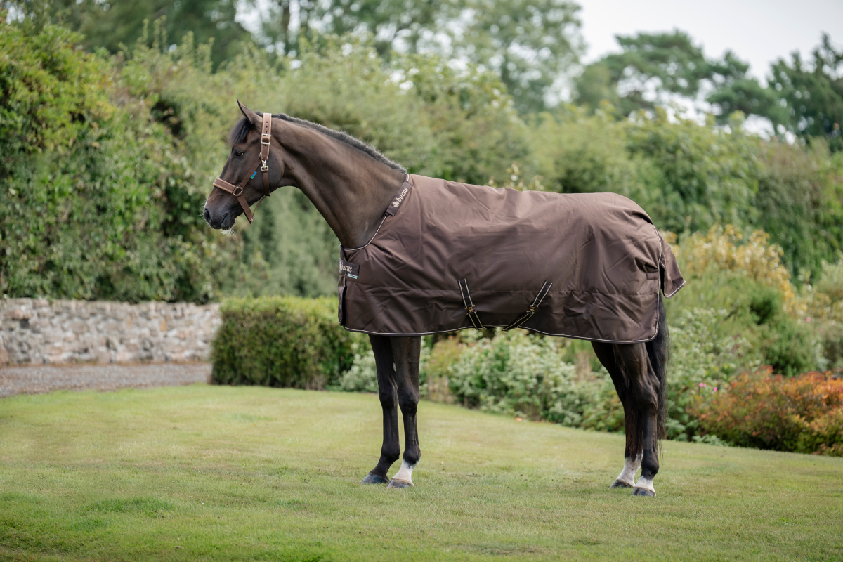 bucas Outdoordecke Irish Turnout & Neck 300 g Espresso