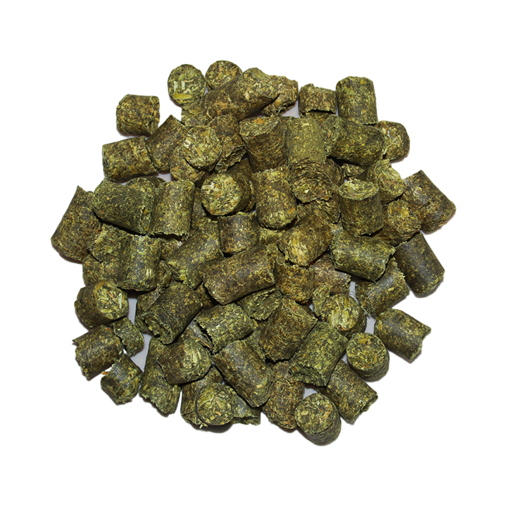 Raika LuzerneCobs