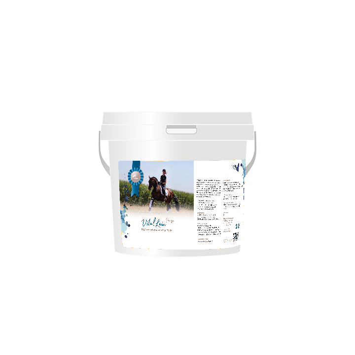 Raika VitalLein Horse