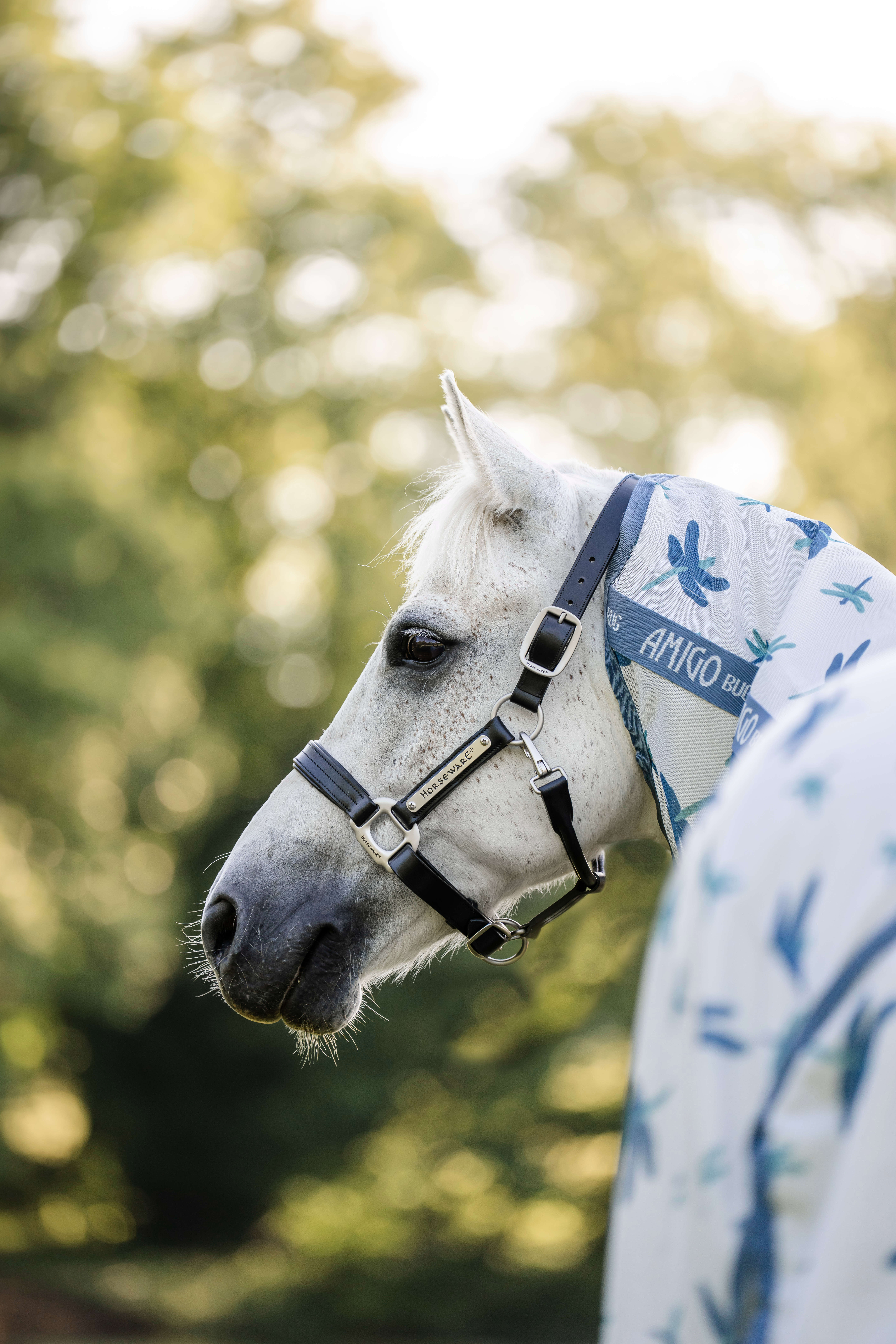 AMIGO Pony-Fliegendecke Bug Rug
