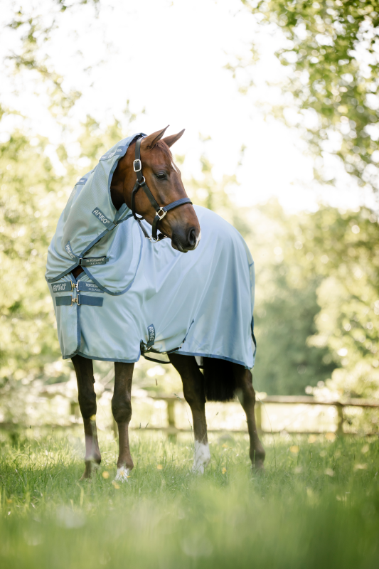 AMIGO Pony-Fliegendecke Bug Rug Plus