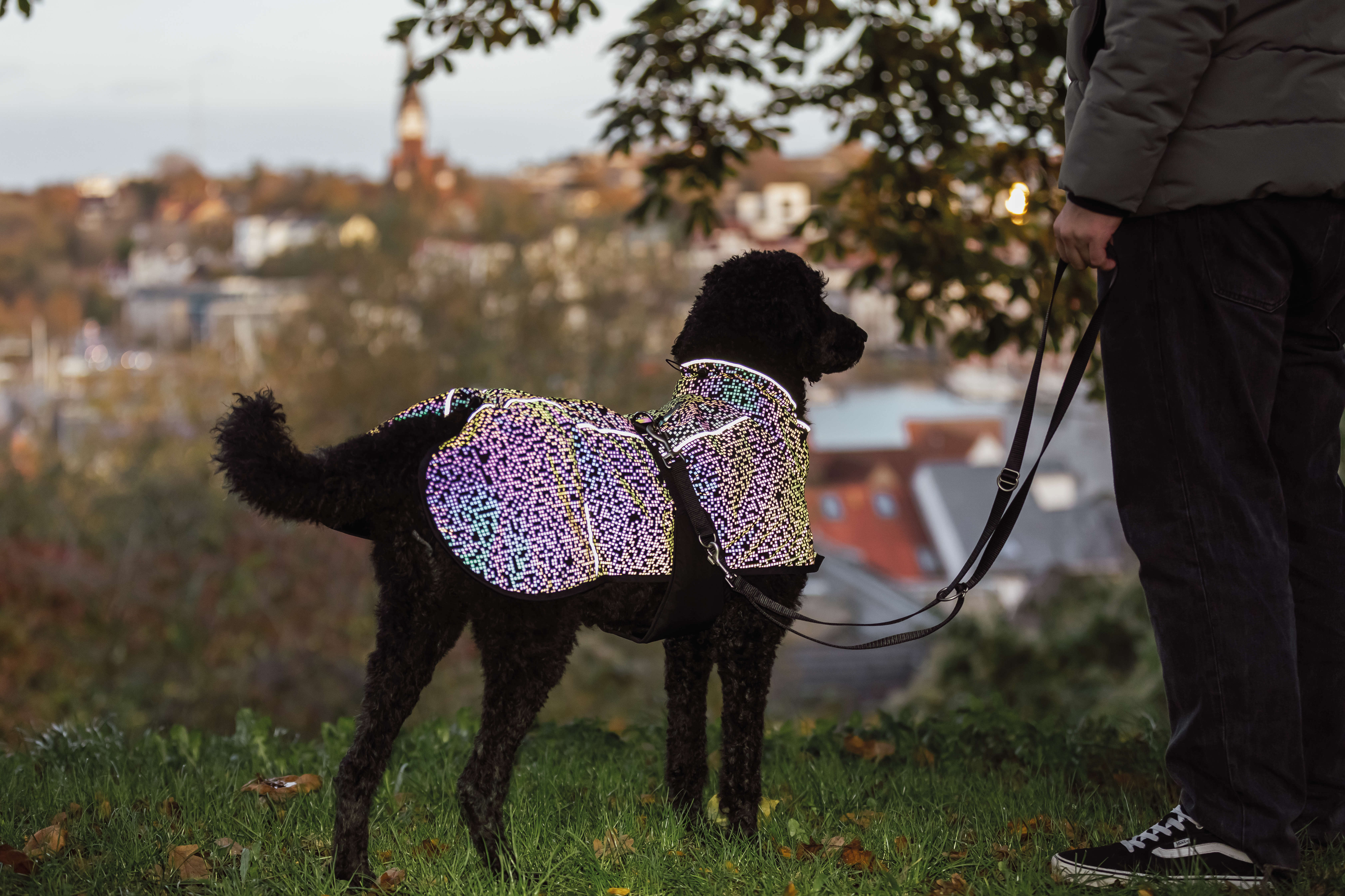 TRIXIE Hundemantel Limoux Reflect