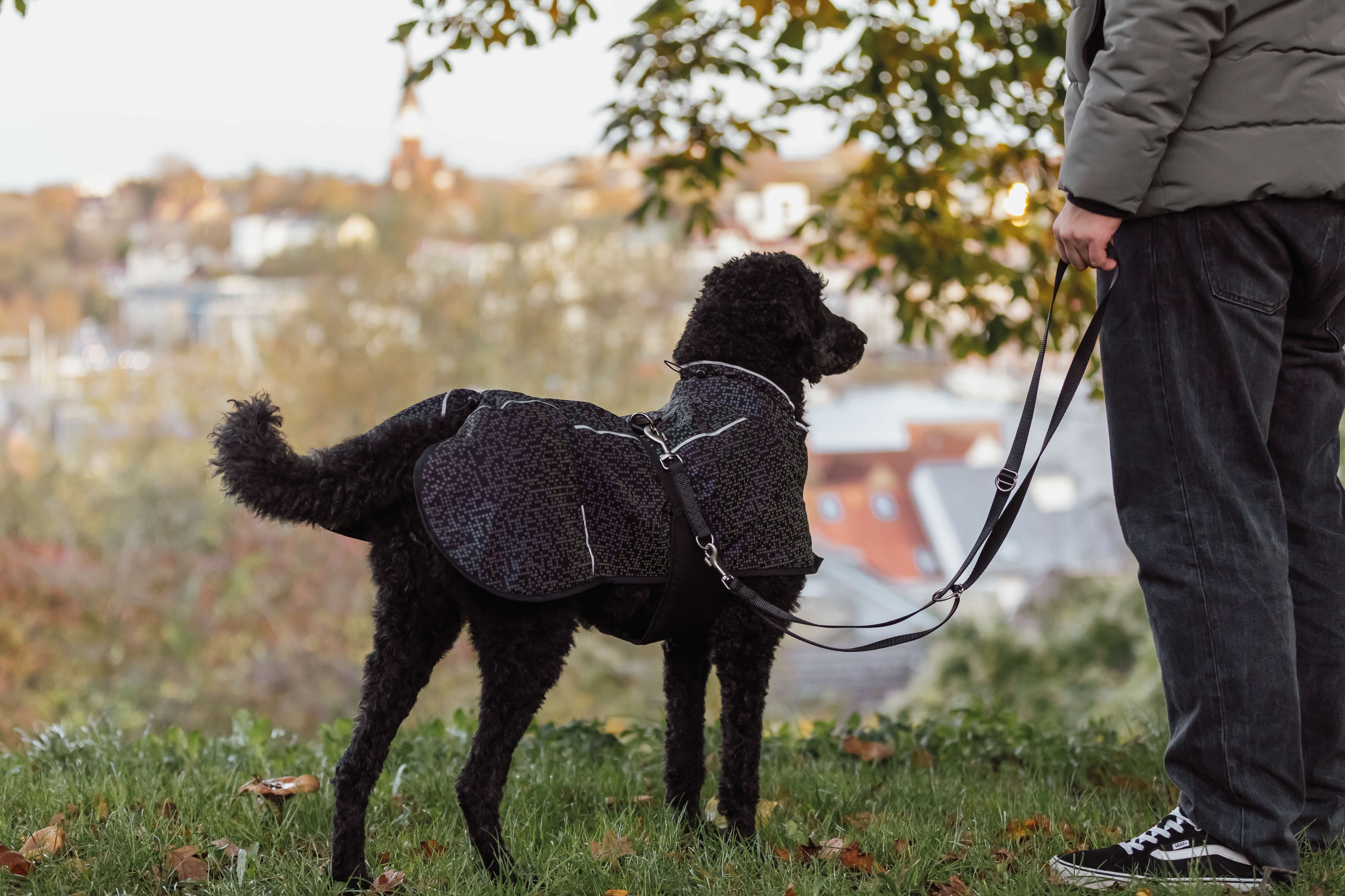 TRIXIE Hundemantel Limoux Reflect