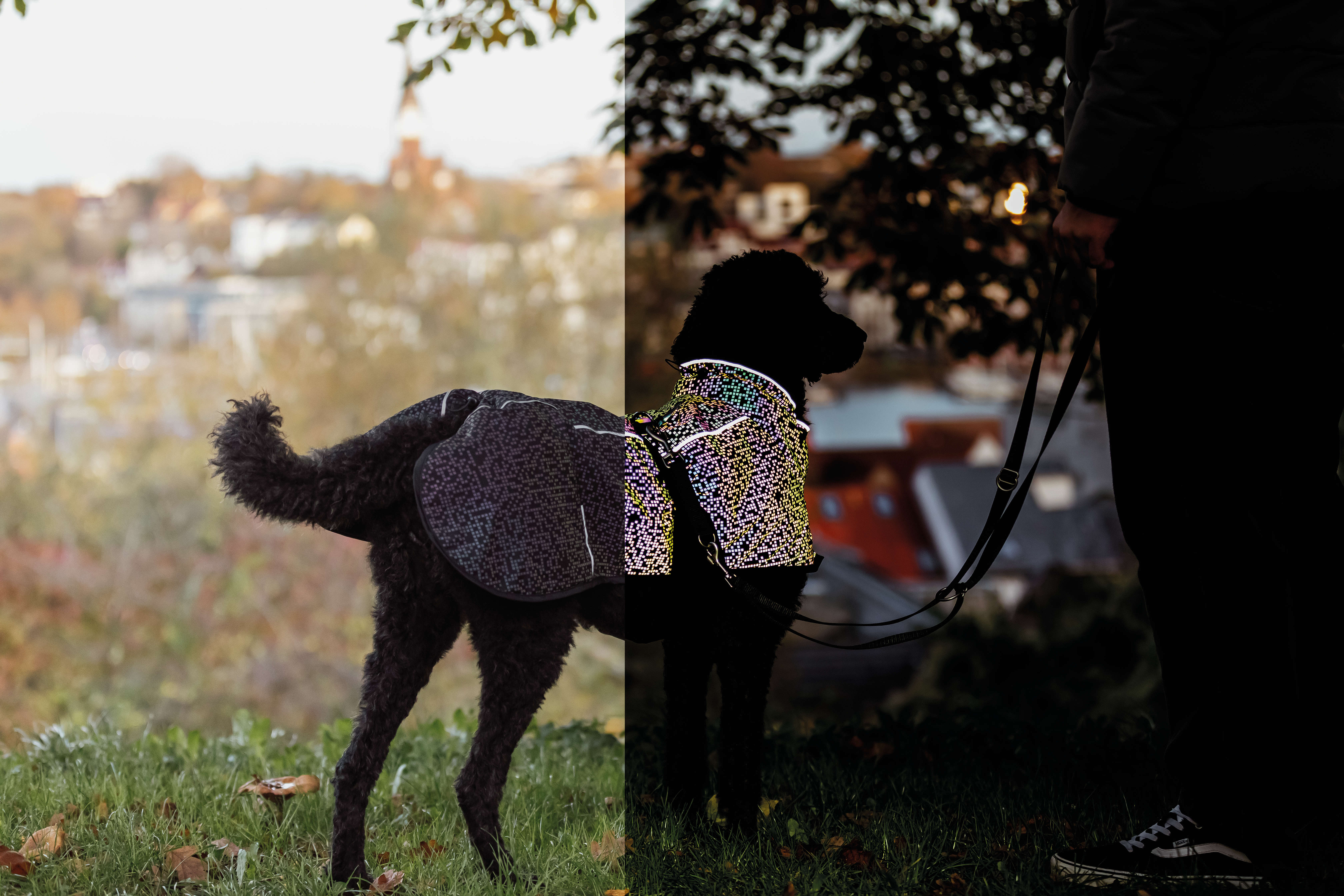 TRIXIE Hundemantel Limoux Reflect