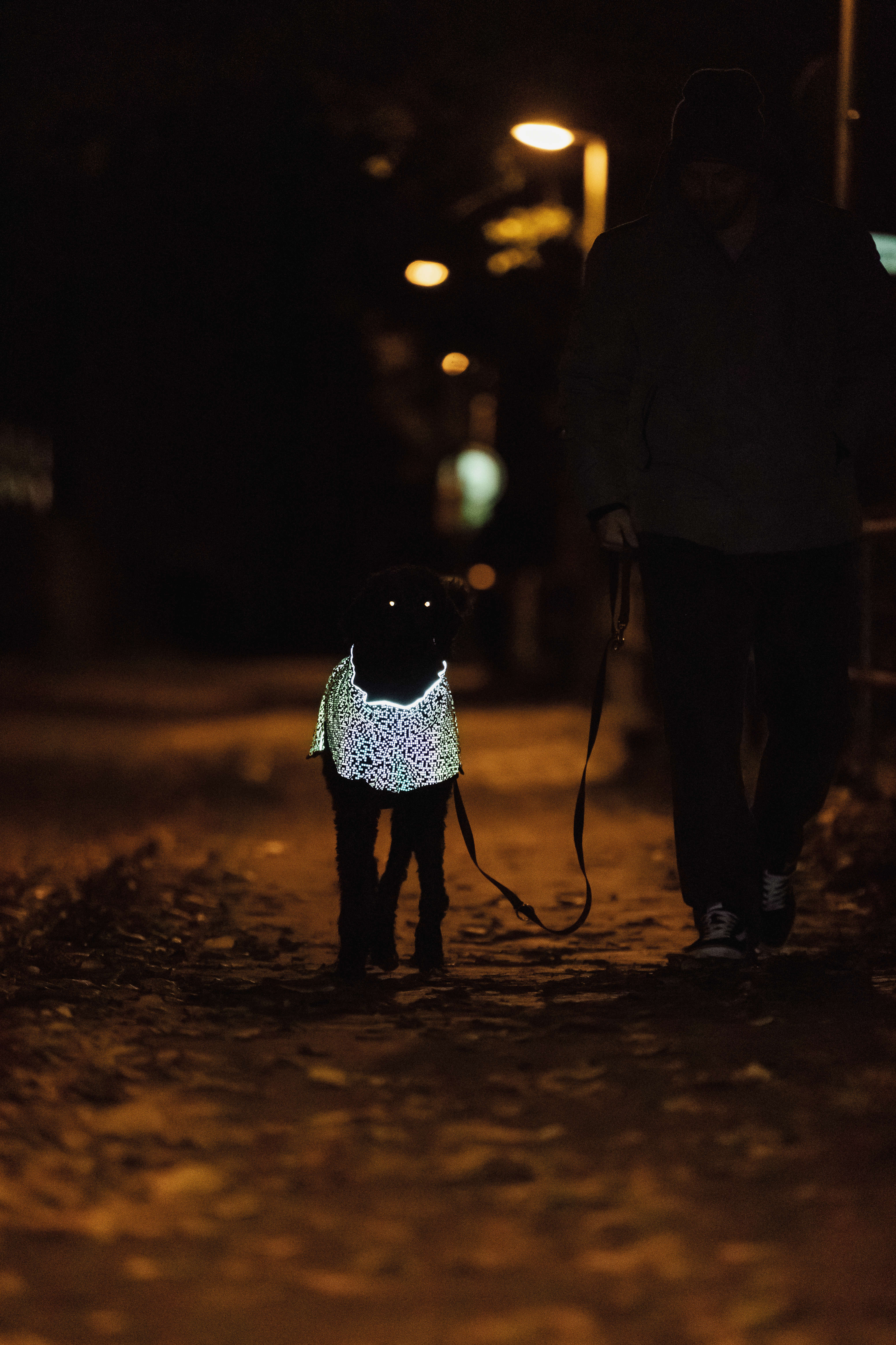 TRIXIE Hundemantel Limoux Reflect