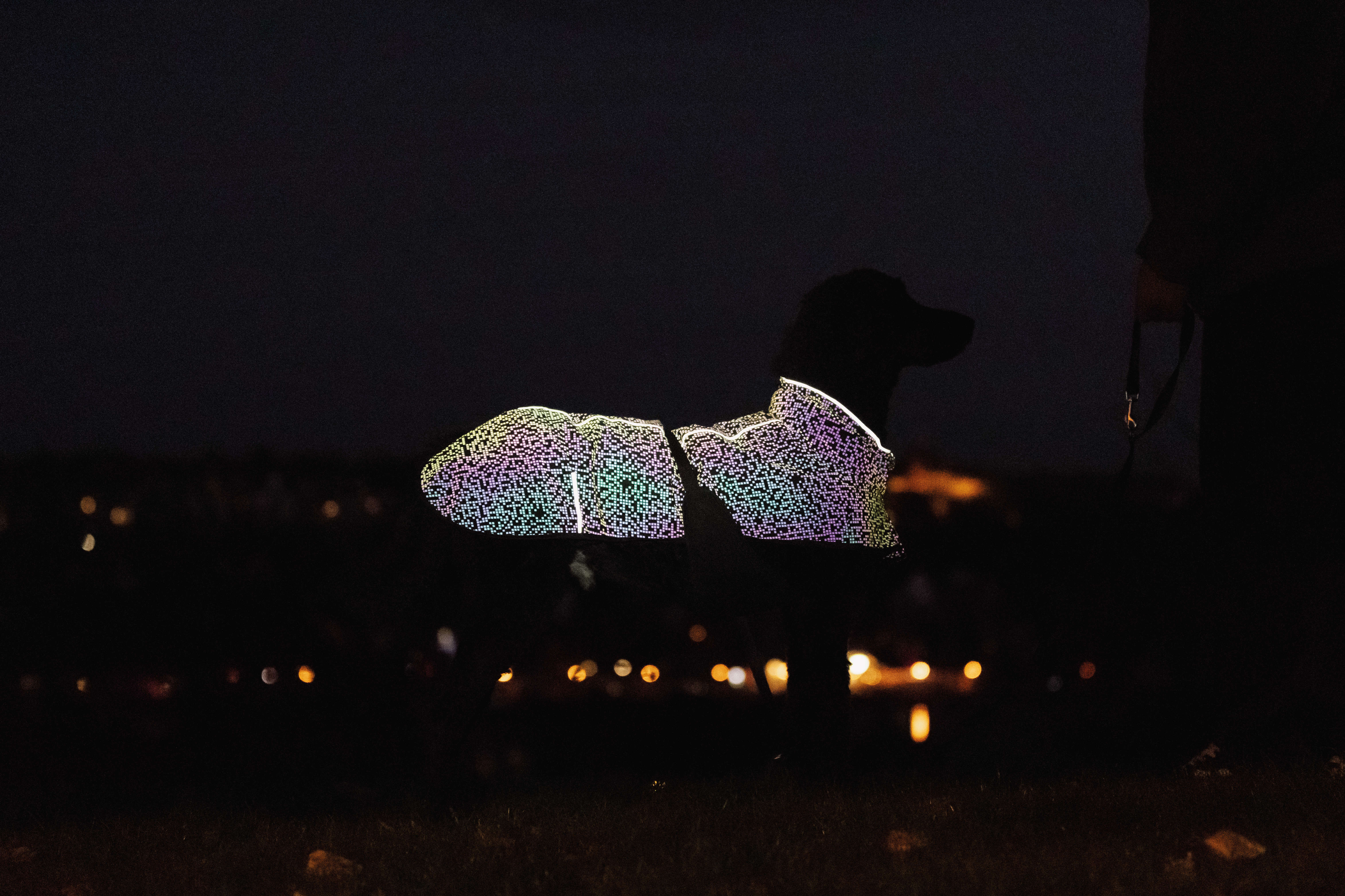 TRIXIE Hundemantel Limoux Reflect