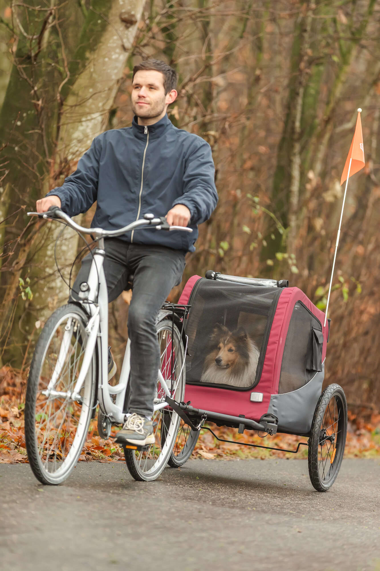 TRIXIE Fahrrad-Anhänger für Hunde