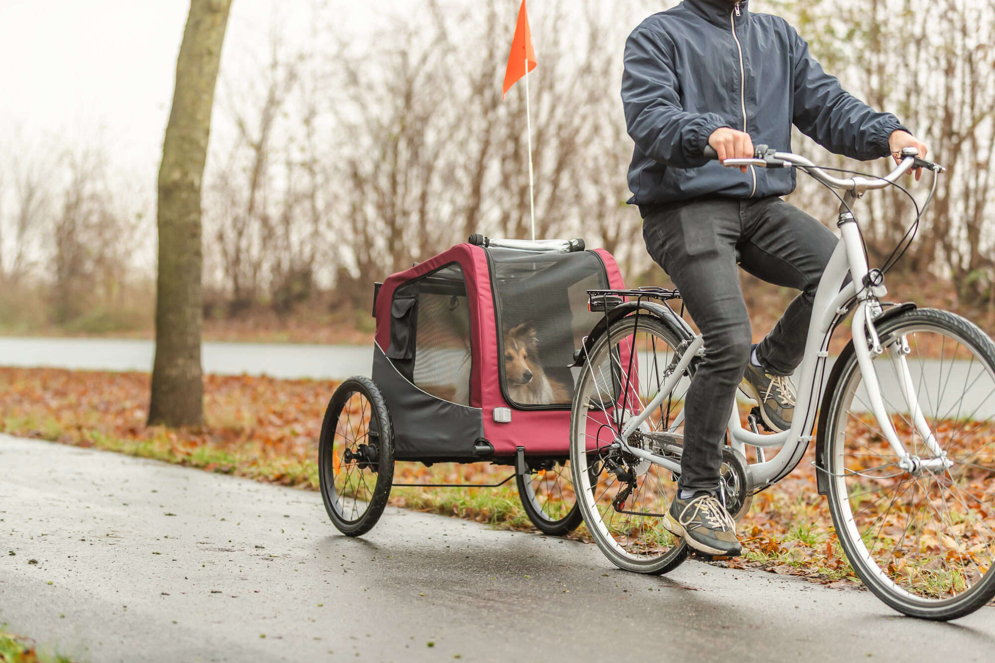 TRIXIE Fahrrad-Anhänger für Hunde