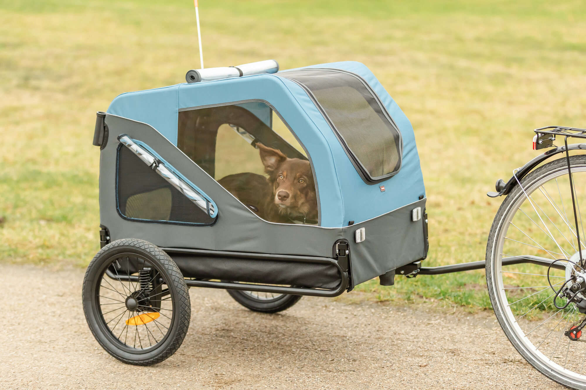 TRIXIE Fahrrad-Anhänger für Hunde