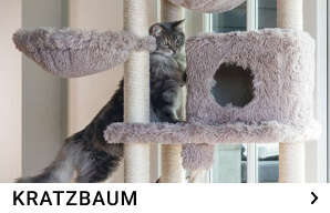kratzbaum kachelmenue