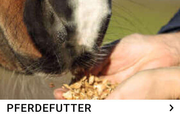 pferdefutter kachelmenue