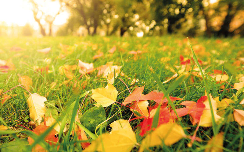 landflair 800x500 1