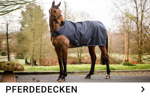 pferdedecken kachelmenue