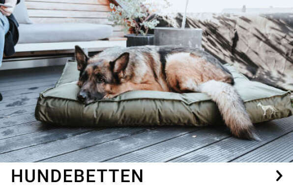 hundebetten kachelmenue