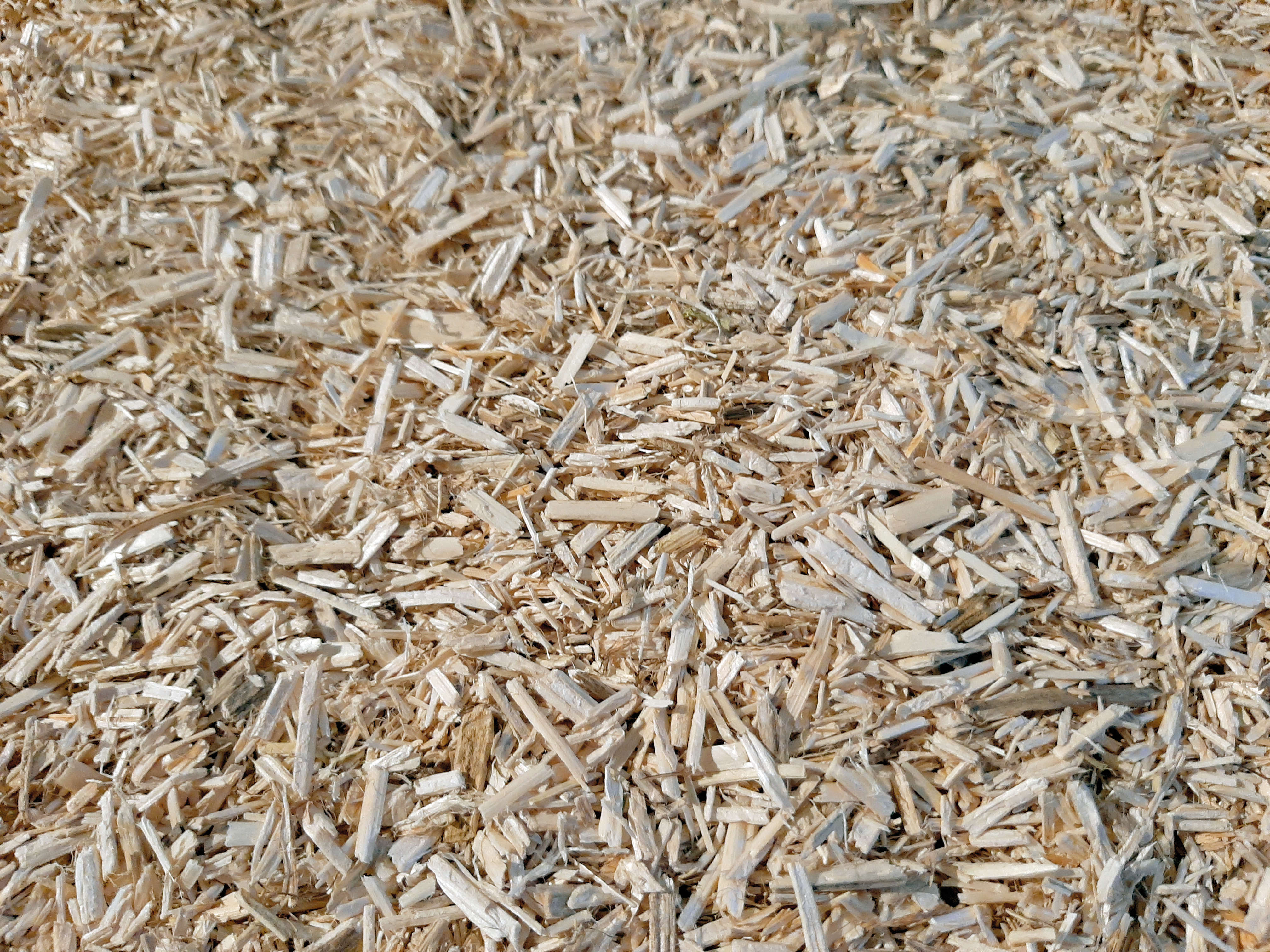 AUBIOSE Hanfeinstreu mit Eukalyptus für Pferde