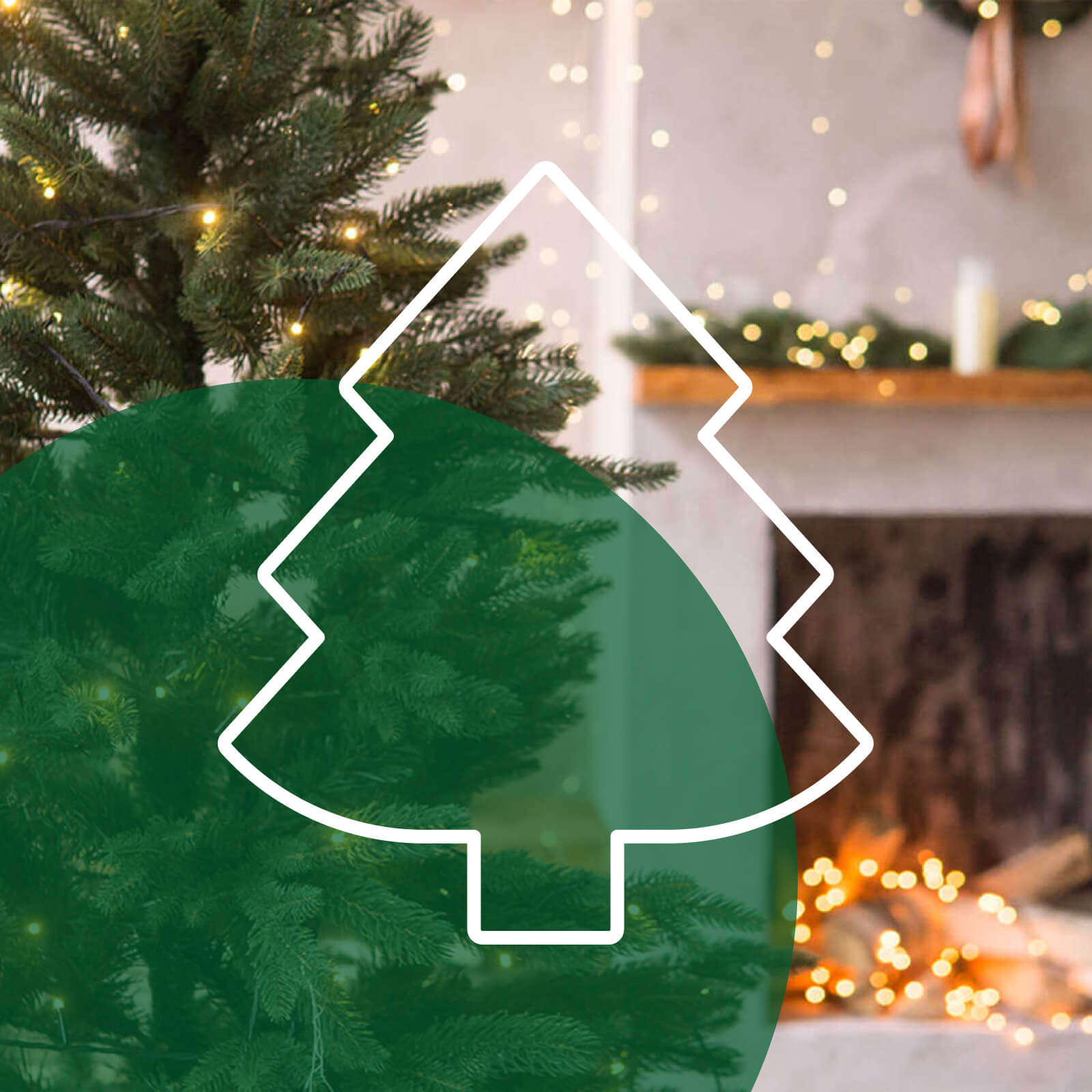 weihnachtswelt weihnachtsbaum lichter 800x800