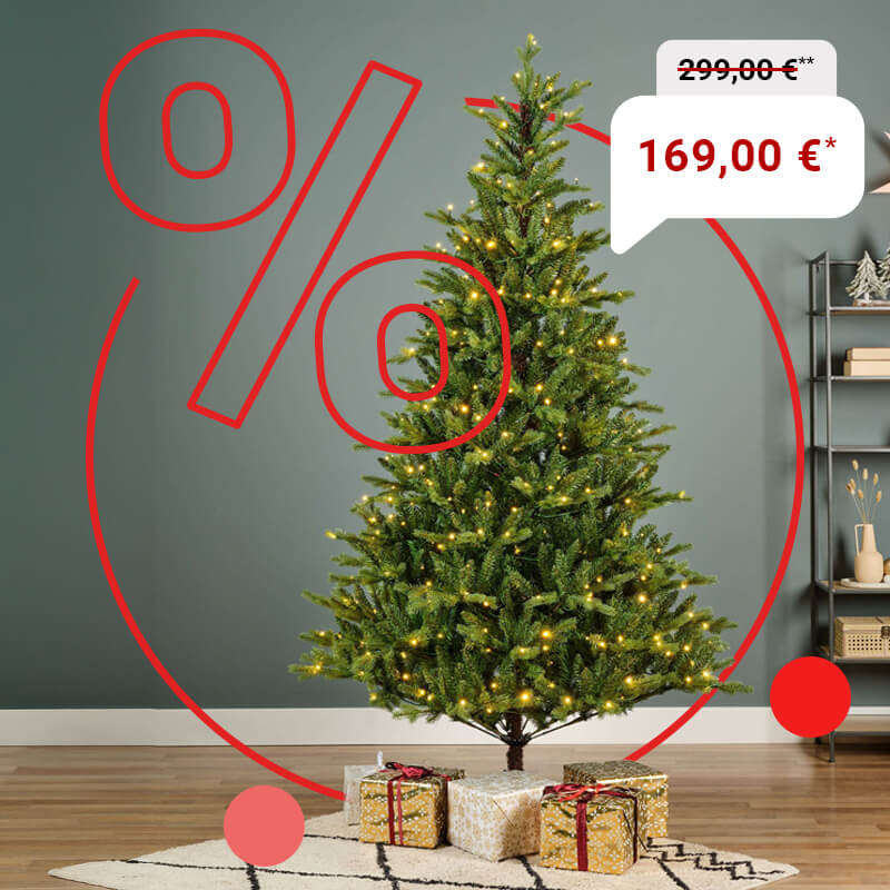 Highlight EVERLANDS Kuenstlicher Weihnachtsbaum 800x800