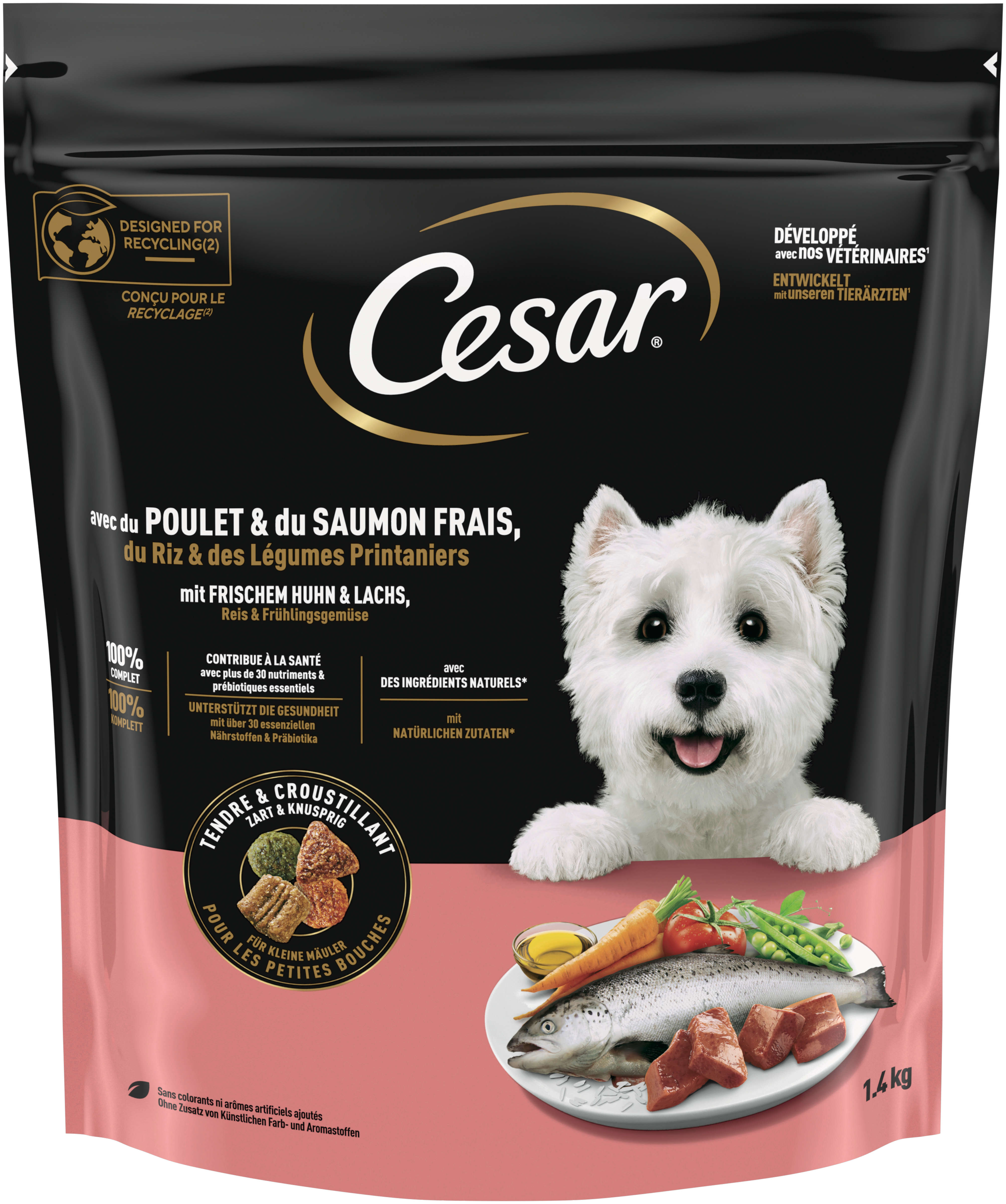Cesar Hunde-Trockenfutter für kleine Hunde mit Huhn und Lachs