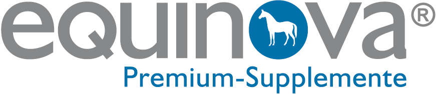 2012 logo equinova
